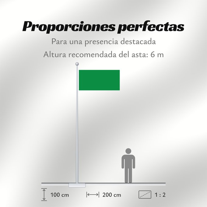 Proporciones de la bandera: Libya  1977-2011	The national flag of the Libyan Jamahiriya from 1977 to 2011	La Libye 1977 à 2011	Libia	Libyens von 1977 bis 2011	Libië van 1977 tot 2011	Líbia	Pl Flaga Libii	Libië	علم ليبيا	Banniel Libia	Liibüa lipp	דגל לוב	リビアの国旗  1977年-2011年	Libyas fl