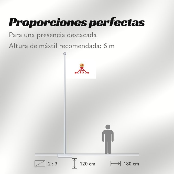 Proporciones de la bandera: Personal standard of Prince Alberto II of Monaco