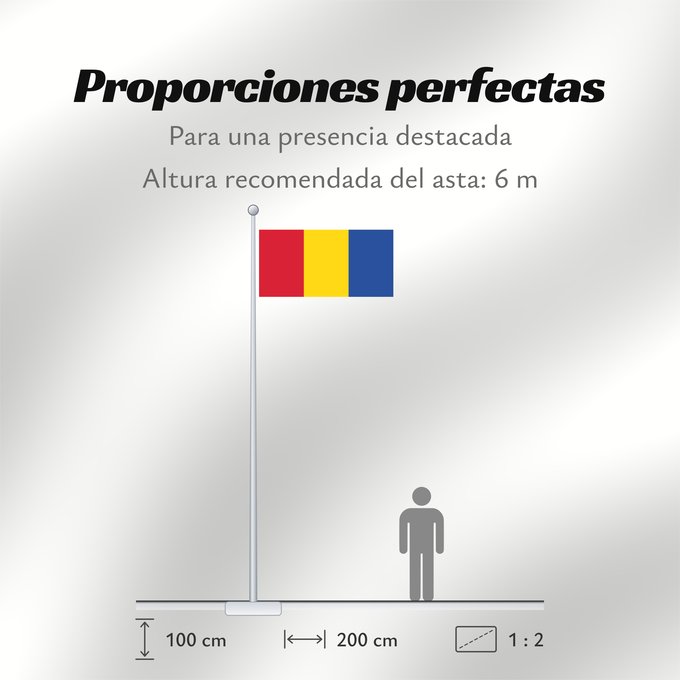 Proporciones de la bandera: Moldova back	Back of the flag of Moldova  1990-2010	Achterkant van de vlag van Moldavië  1990-2010