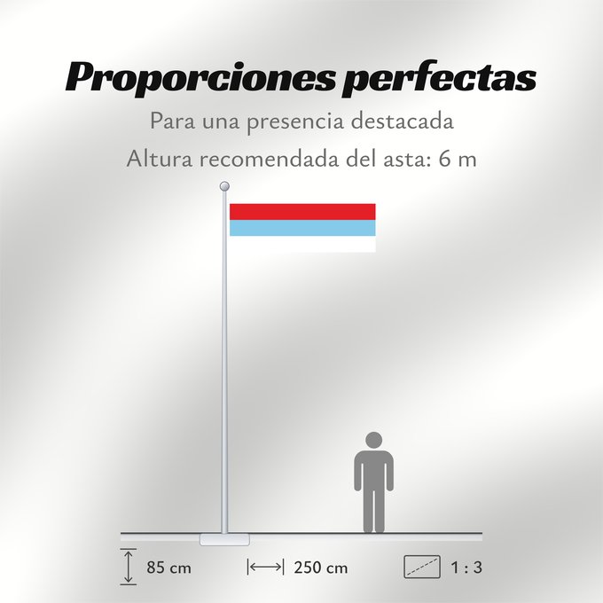Proporciones de la bandera: Montenegro  1993-2004	Montenegro between 1993 and 2004	Crne Gore  1993-2004
