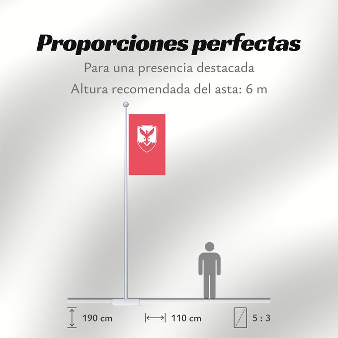 Proporciones de la bandera: Centar Municipality, Macedonia Знаме на Општина Центар