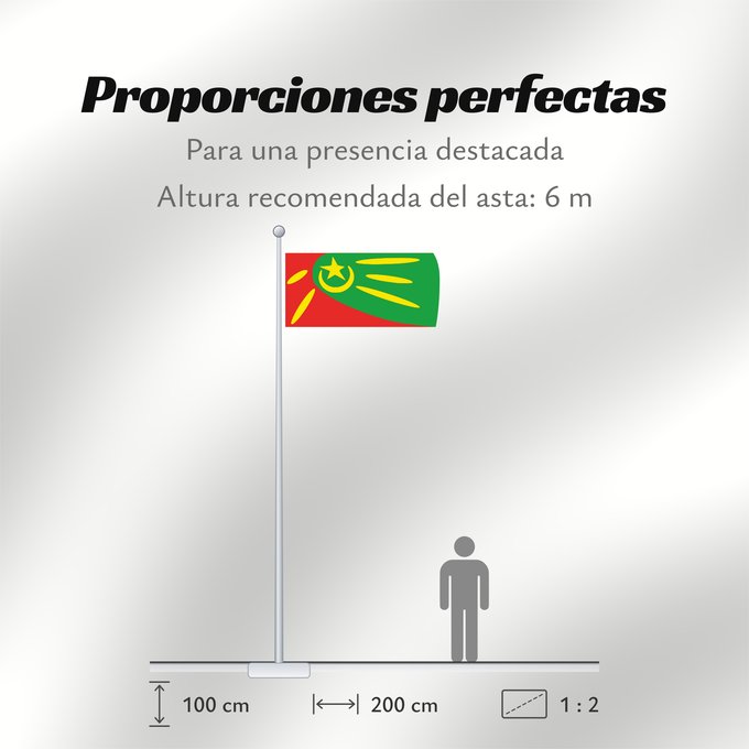 Proporciones de la bandera: Plasnica Municipality, North Macedonia Plasnica Municipality, Macedonia Municipalité de Plasnica Municipio de Plasnica Gemeinde Plasnica Comune di Plasnica Знаме на Општина Пласница