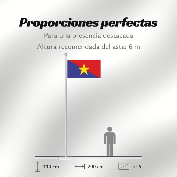 Proporciones de la bandera: Mm army 2