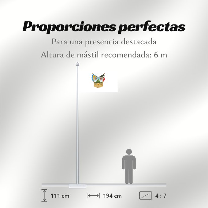 Proporciones de la bandera: Hidalgo	hidalgo y fidalgo