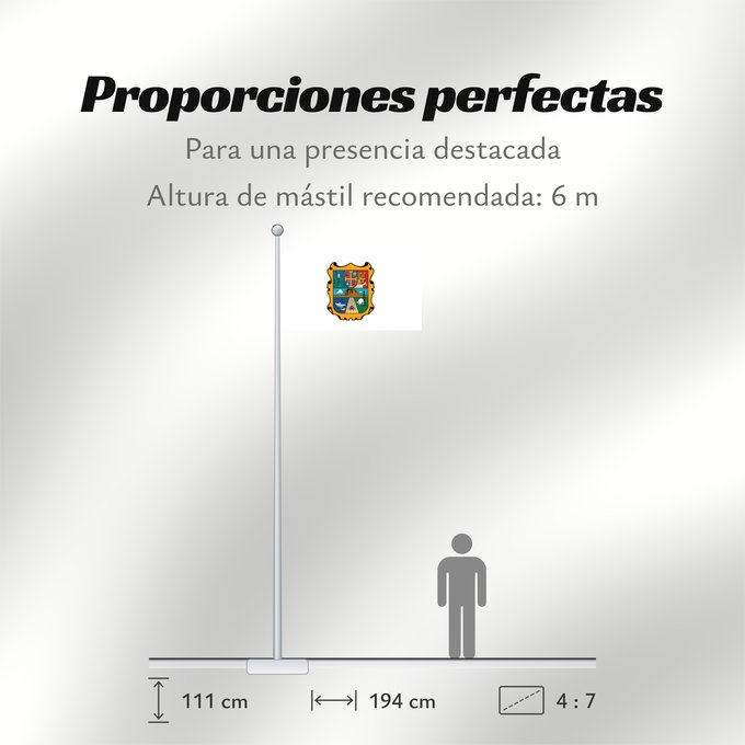 Proporciones de la bandera: Tamaulipas