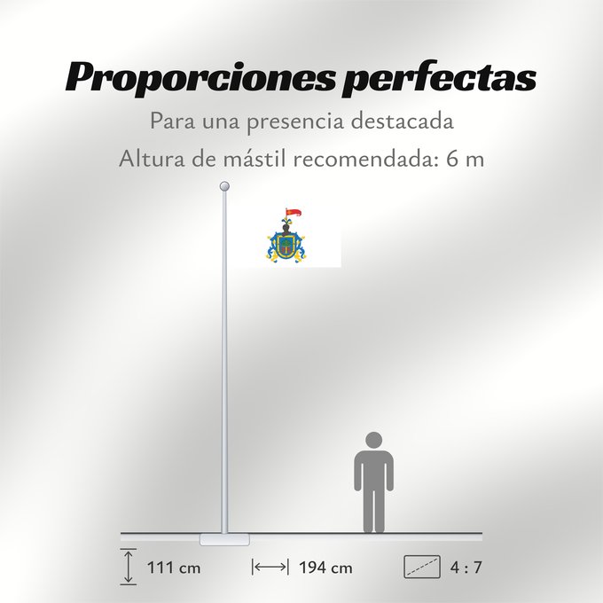 Proporciones de la bandera: Jalisco  heraldry	Jalisco