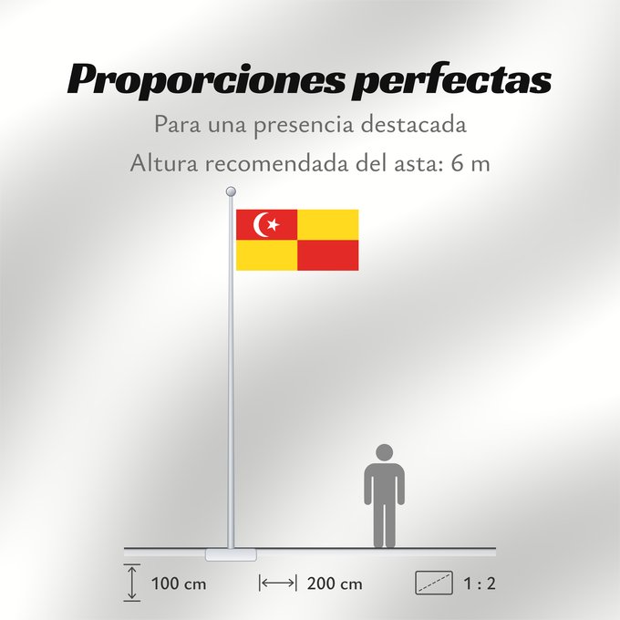 Proporciones de la bandera: Selangor Selangor Malaysian state Selangor