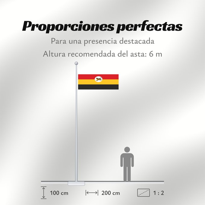 Proporciones de la bandera: Federated Malay States 1895 - 1946 Federated Malay States FMS 1895 - 1946