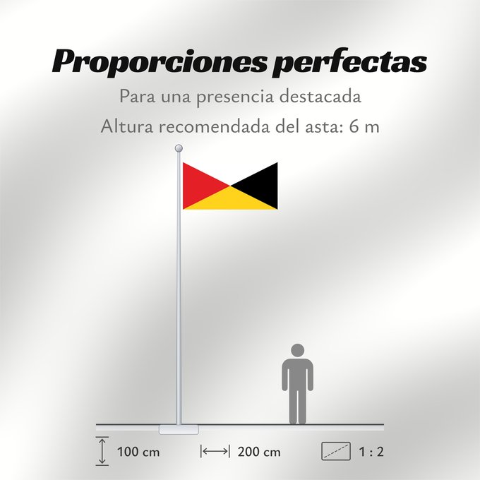Proporciones de la bandera: Naval Ensign of the Federated Malay States