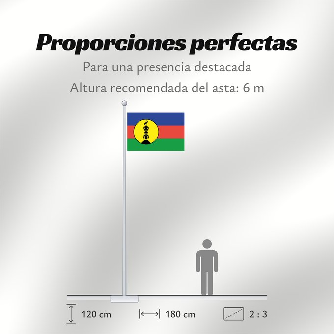 Proporciones de la bandera: FLNKS Kanak and Socialist National Liberation Front political party Front de libération nationale kanak et socialiste Colores Pantone http //www Neukaledonien Nuova Caledonia Front d Alliberament Nacional Canac Socialista