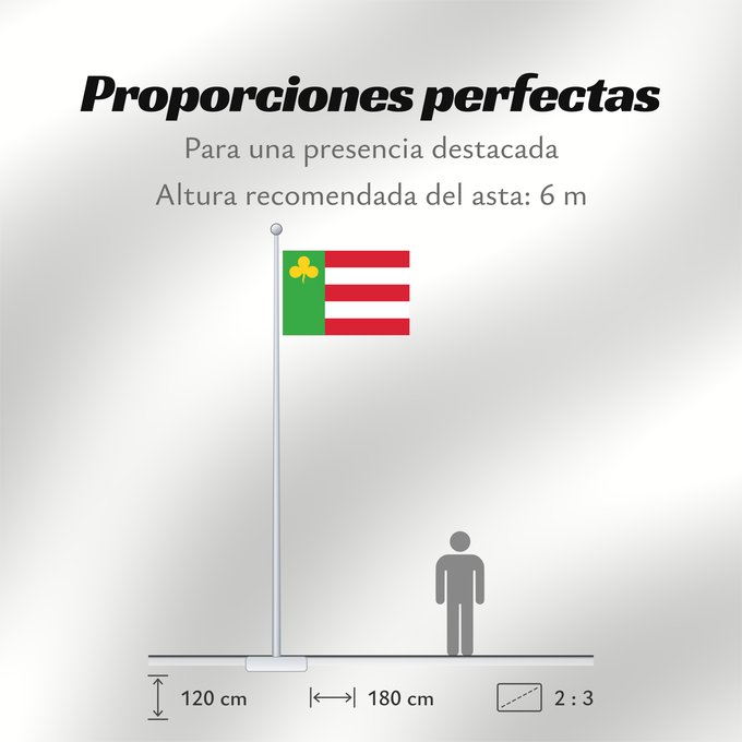 Proporciones de la bandera: Boarnsterhim Dutch municipality of Boarnsterhim Boornsterhem