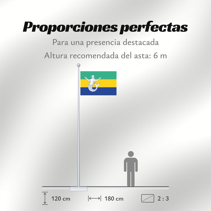 Proporciones de la bandera: Eemsmond Dutch municipality of Eemsmond