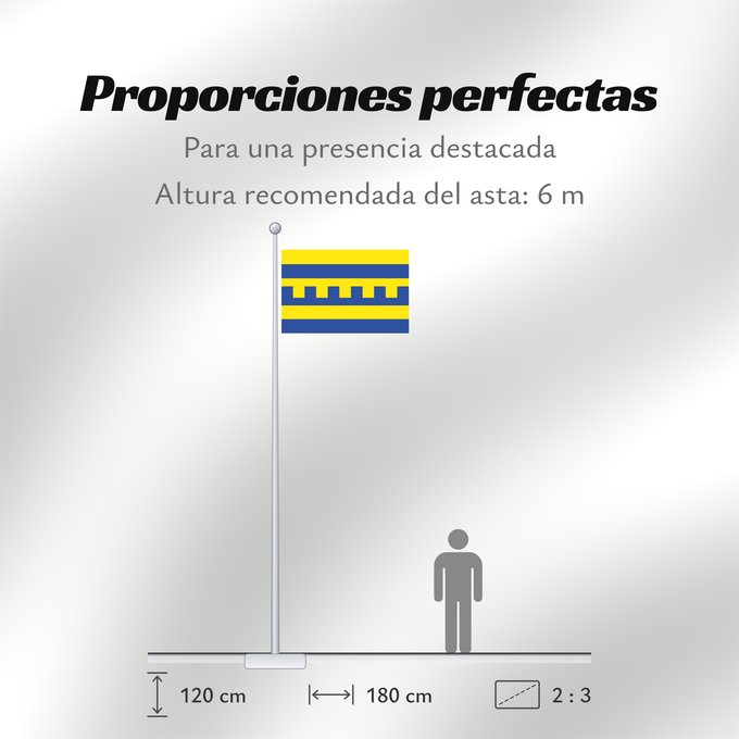 Proporciones de la bandera: Harderwijk	Dutch municipality of Harderwijk