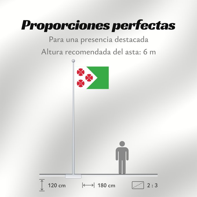 Proporciones de la bandera: Maasdonk	Dutch municipality of Maasdonk