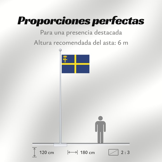Proporciones de la bandera: Oldenzaal	Dutch municipality of Oldenzaal