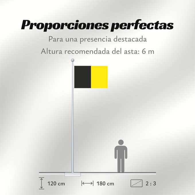 Proporciones de la bandera: Sneek Dutch town of Sneek