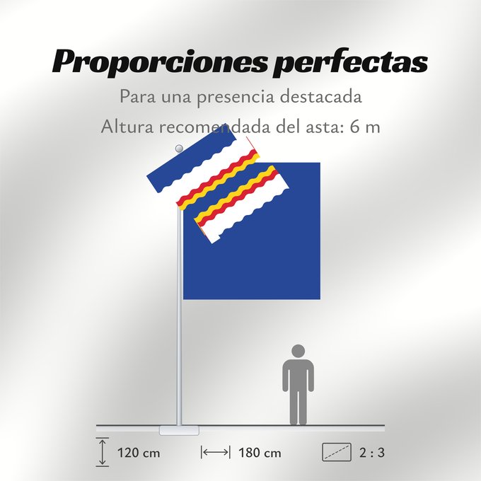 Proporciones de la bandera: Ten Boer	Dutch municipality of Ten Boer