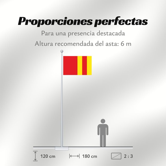Proporciones de la bandera: Ter Aar Dutch municipality of Ter Aar