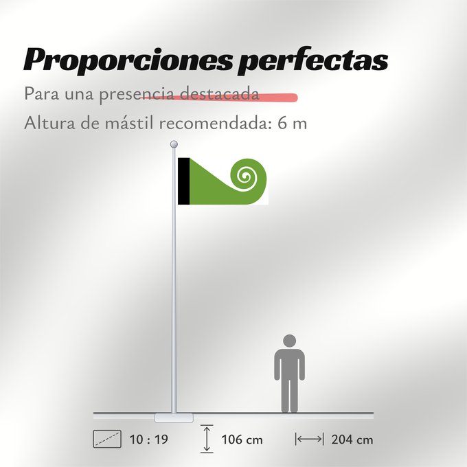 Proporciones de la bandera: Koru	This image shows the popular Koru Flag