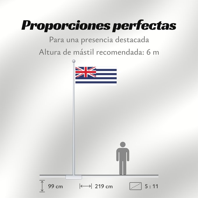 Proporciones de la bandera: Proposed flag of New Zealand 1834	A proposed New Zealand flag