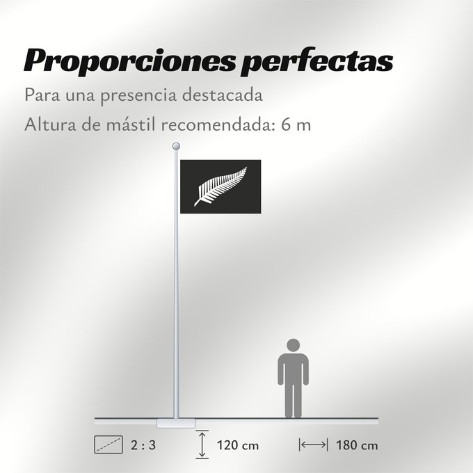 Proporciones de la bandera: Silver fern A Silver Fern flag, a proposed new New Zealand Silberfarn-Flagge
