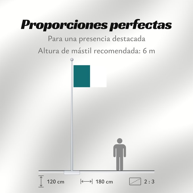 Proporciones de la bandera: Huancayo