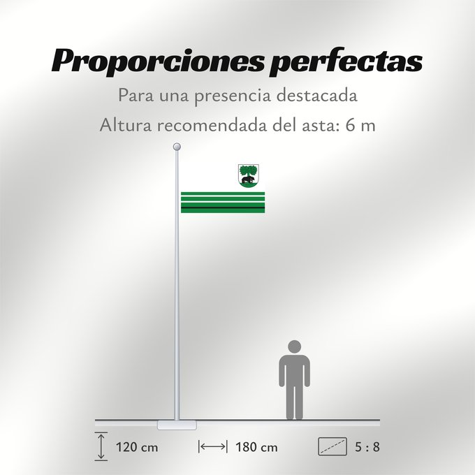 Proporciones de la bandera: POL Barwice Barwice Barwic