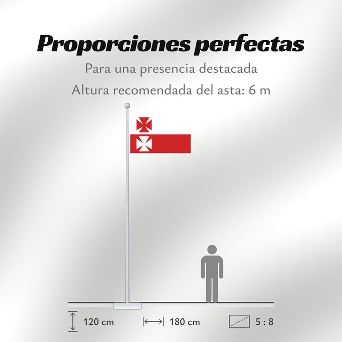 Proporciones de la bandera: POL Elbląg