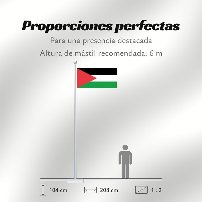 Proporciones de la bandera: Palestine - long triangle	A variant of the flag of Palestine used in some period of its history	Palestine (variante triangle long)	Palestina (variante triángulo largo)	Palästina (langes Dreiecksvariante)	Palestina (variante triangolo lungo)