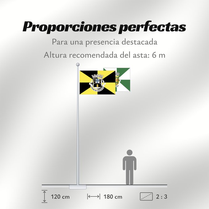 Proporciones de la bandera: Portalegre