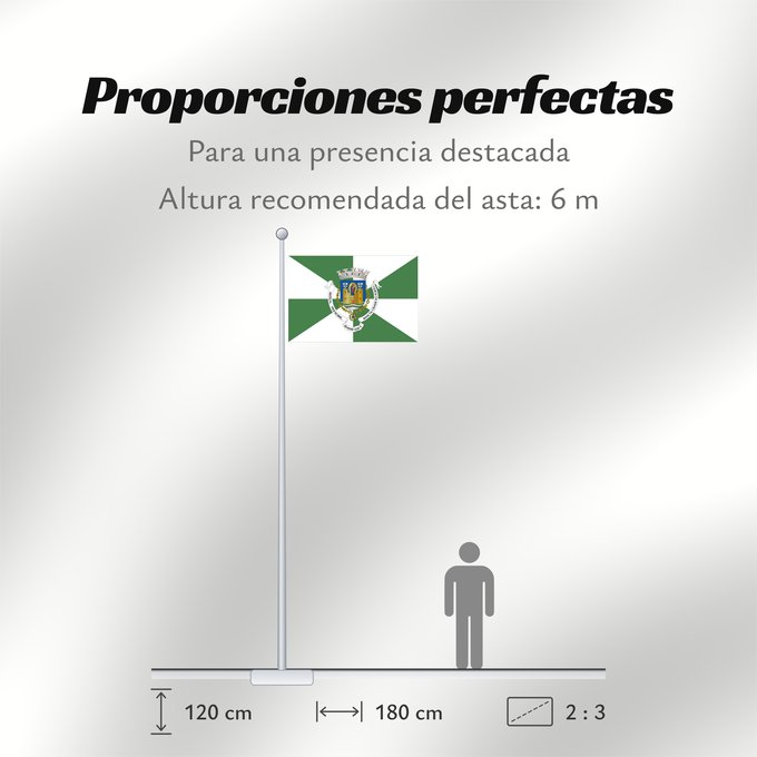 Proporciones de la bandera: Porto