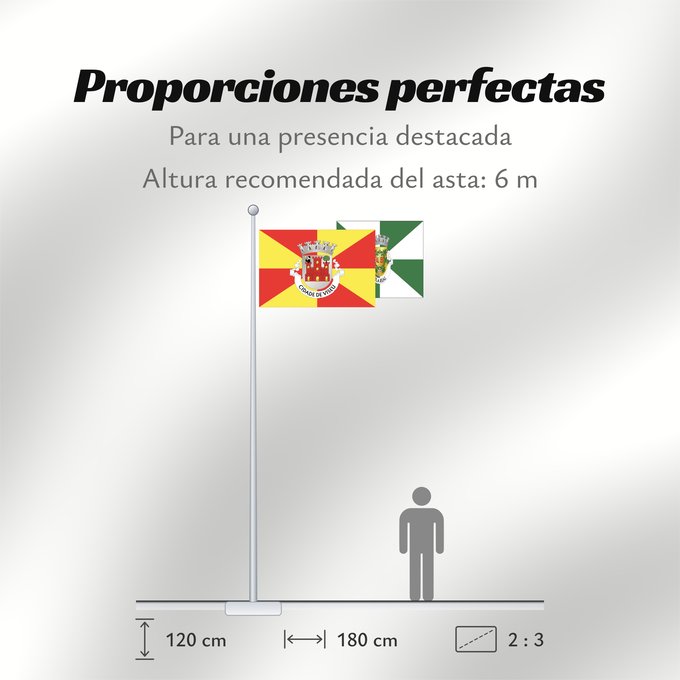 Proporciones de la bandera: Viseu