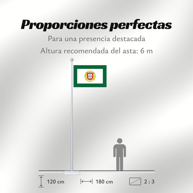 Proporciones de la bandera: Portuguese Assembly of the Republic	Assembly of the Republic of Portugal	Assemblée de la République du Portugal	Asamblea de la República de Portugal	Assembleia da República Portuguesa	Assemblea della Repubblica Portoghese