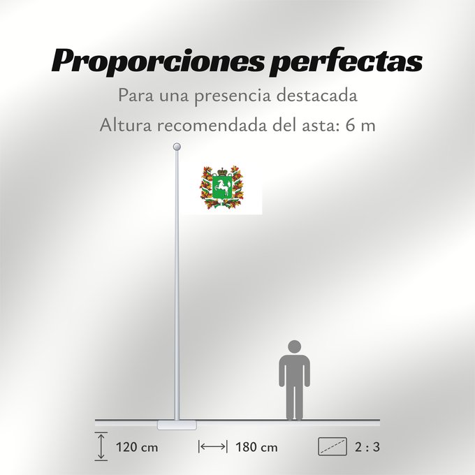 Proporciones de la bandera: Tomskaya oblast'