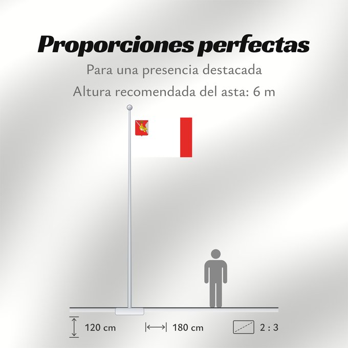 Proporciones de la bandera: Vologda Oblast	Vologda Oblast 	Oblast de Vologda	Óblast de Vólogda	Oblast Wologda
