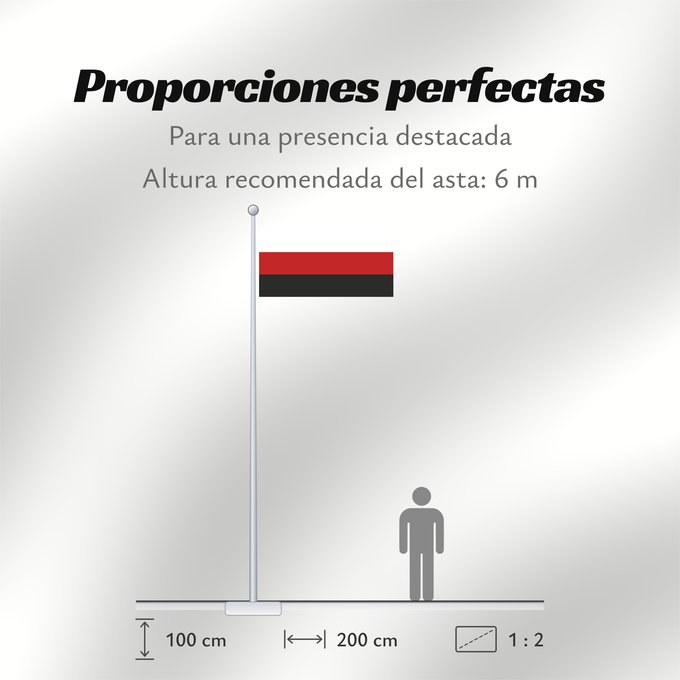 Proporciones de la bandera: Erzya