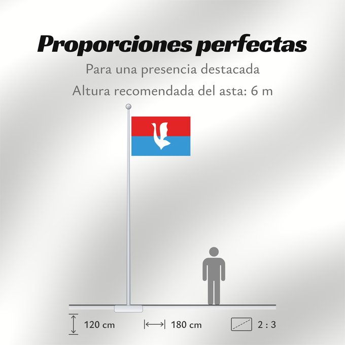 Proporciones de la bandera: Gus-Khrustalny Vladimir Oblast Gus-Khrustalny, Vladimir Region, Russia Gous-Khroustalny (Oblast de Vladimir) Gus-Jrustalni (Óblast de Vladímir) Gus-Chrustalny ( Oblast Wladimir) Gus-Chrustalnyj (Oblast' di Vladimir) Флаг города Гусь-Хрустальный