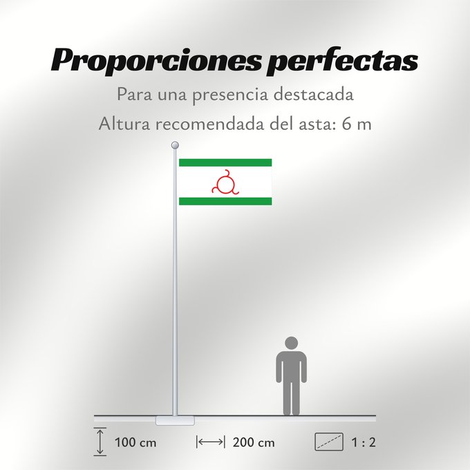 Proporciones de la bandera: Ingushetia 1994	Ingushetia (1994-1999)	Ingouchétie (1994-1999)	Ingusetia (1994-1999)	Inguschetien (1994-1999)	Inguscezia (1994-1999)	Флаг Республики Ингушетия 1994-1999, Россия