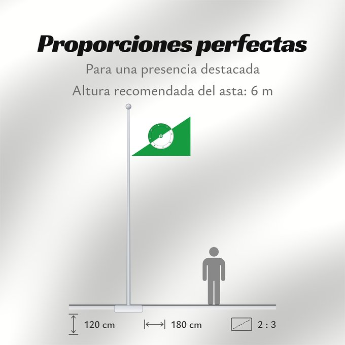 Proporciones de la bandera: Karasuk Novosibirsk oblast Karasuk, Novosibirsk Region, Russia Karasuk Флаг Карасука
