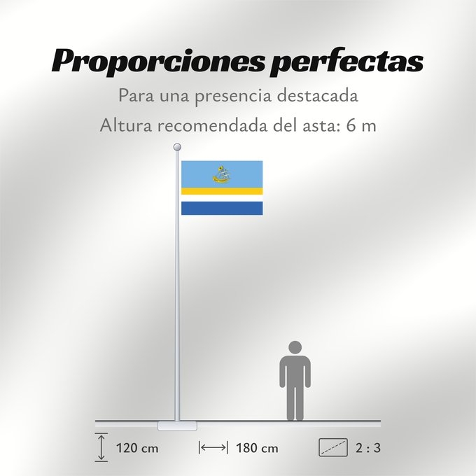 Proporciones de la bandera: Kostroma  Kostroma oblast   2002-08	Kostroma  Russian Federation	Kostroma (Oblast de Kostroma) (2002-08)	Kostroma (Óblast de Kostromá) (2002-08)	Kostroma (Oblast Kostroma) (2002-08)	Kostroma (Oblast' di Kostroma) (2002-08)	Флаг города Кострома
