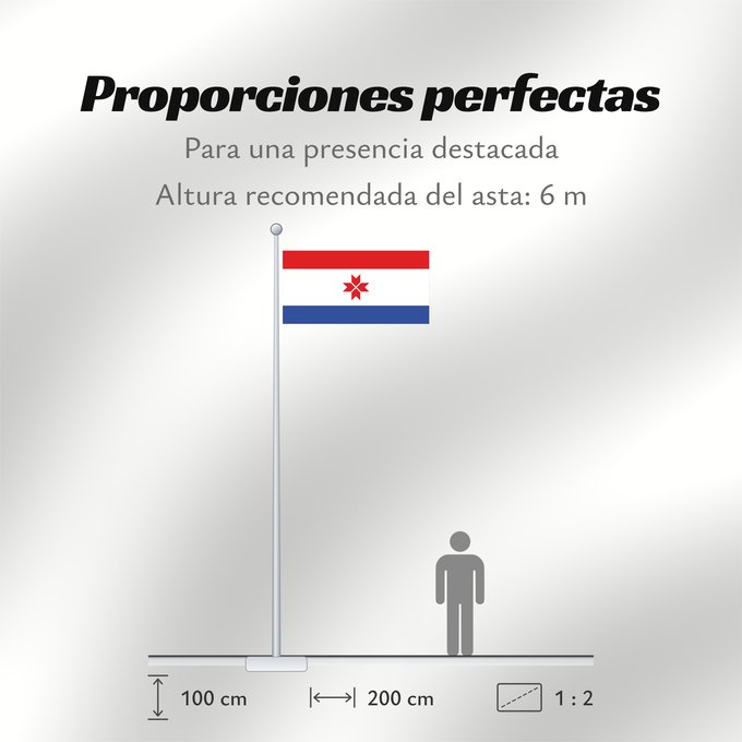 Proporciones de la bandera: Mordovia  1995-2008	Mordovia (1995-2008)	Mordovie (1995-2008)	Mordwinien (1995-2008)