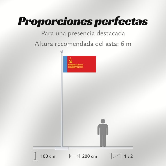 Proporciones de la bandera: Mordovian ASSR	ASSR de Mordovie	ASSR de Mordovia	Mordwinische ASSR	ASSR Mordoviana	Мордовскяй АССР котфос	Мордовской АССР коцтось	Флаг Мордовской АССР