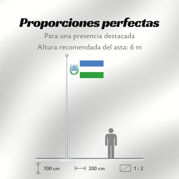 Proporciones de la bandera: Nalchik  2009	Nalchik	Naltchik	Nálchik	Naltschik (2009)	Nalchik (2009)	Naltšikin	Флаг Нальчика