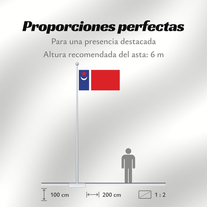 Proporciones de la bandera: Tatarstan 1991 proposal	1991 proposal for the flag of Tatarstan by T	Tatarstan (proposition de 1991)	Tatarstán (propuesta de 1991)	Tatarstan (1991 Entwurf)	Tatarstan (proposta 1991)	Предложенный в 1991 году Т