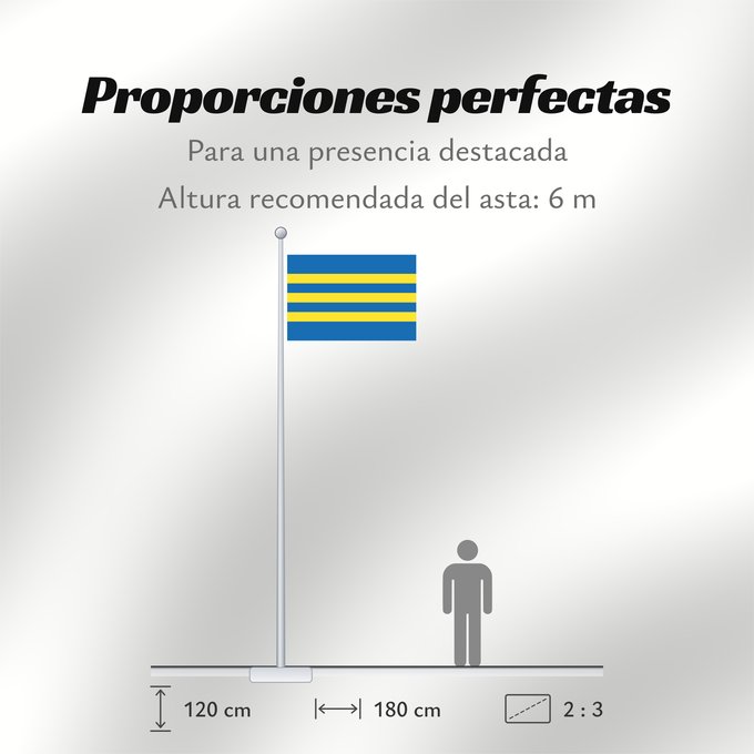 Proporciones de la bandera: Trnavsky vlajka	Trnava Region	Région de Trnava	Región de Trnava	Trnava	Trnava Regione