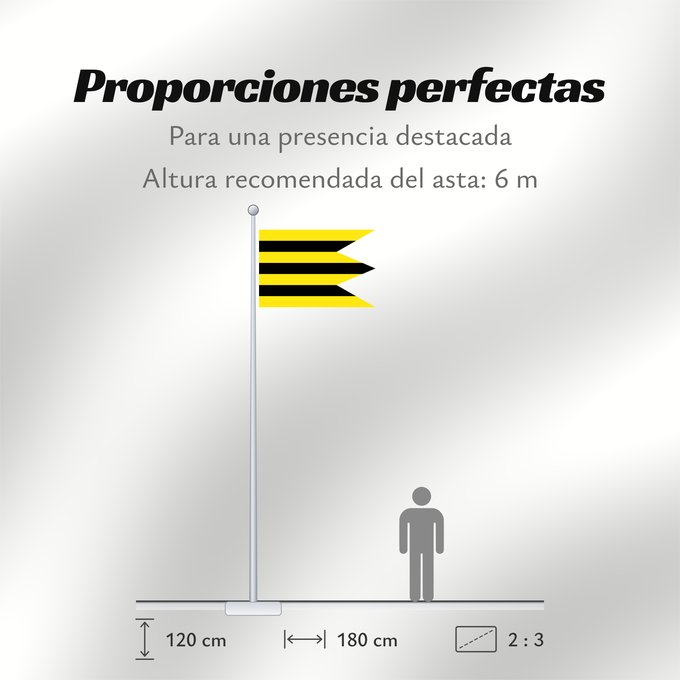 Proporciones de la bandera: Cífer