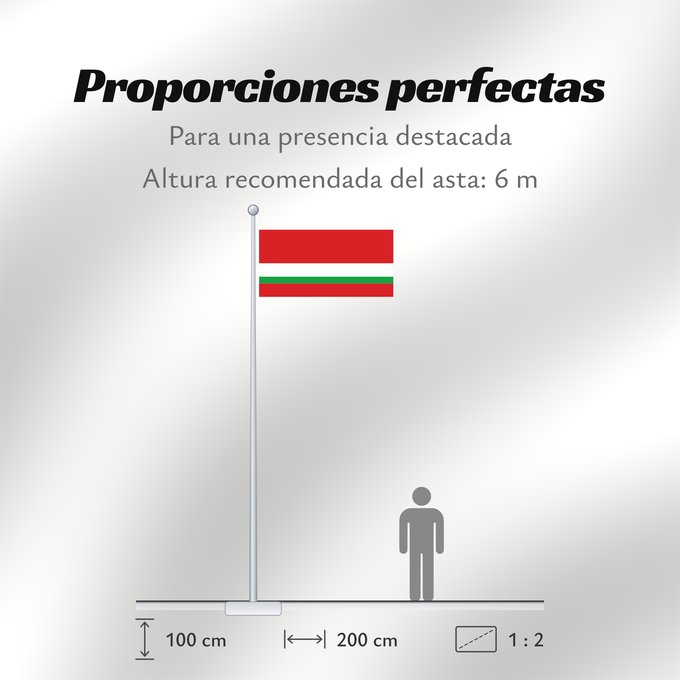 Proporciones de la bandera: Tajik Soviet Socialist Republic  1953–1991 ; Flag of Tajikistan  1991–1992   reverse	Reversed flag of the Tajik SSR  1953–1991  and Tajikistan  1991–1992	RSS du Tadjikistan (1953–1991) / Tadjikistan (1991–1992) (en revers)	RSS de Tayikistán (1953–1991) / 
