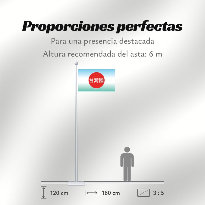 Proporciones de la bandera: 908台灣國運動