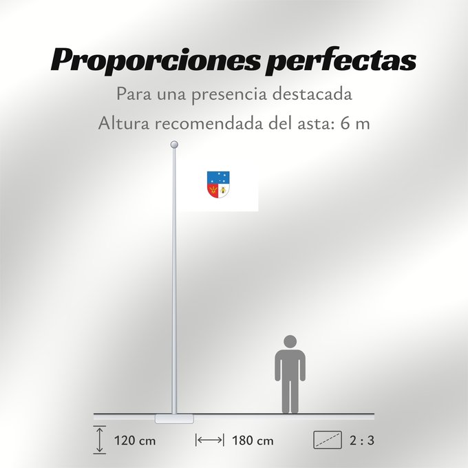Proporciones de la bandera: Colonia Department Colonia département de Colonia
