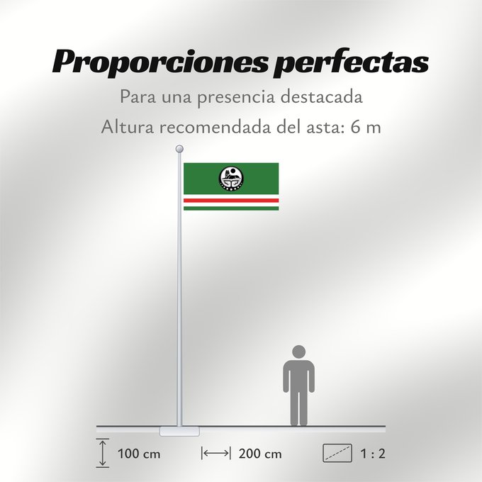 Proporciones de la bandera: Chechen Republic of Ichkeria with COA Chechen Republic of Ichkeria (with COA) République Tchétchène d'Ichkérie (avec COA) República Chechena de Ichkeria (con COA) Tschetschenische Republik Itschkeria (mit Wappen) Repubblica Cecena di Ichkeria (con COA)